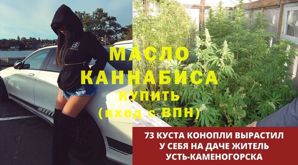 мет Алексин
