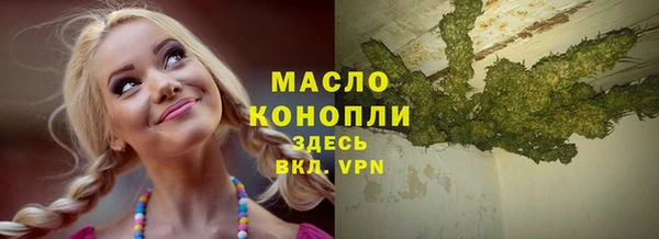 мет Алексин
