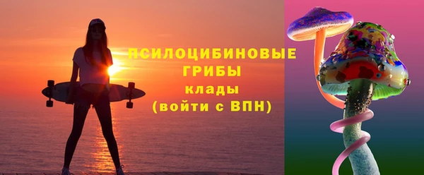 мет Алексин