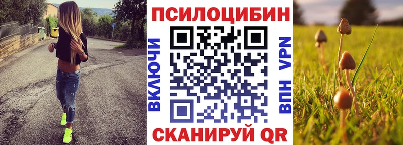 MEGA ТОР  купить наркоту  Южно-Сахалинск  Галлюциногенные грибы Magic Shrooms 